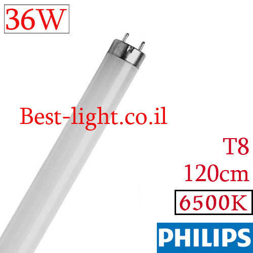נורת פלורסנט Philips T8 120cm 36W 6500k