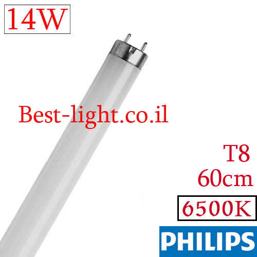 נורת פלורסנט Philips T8 60cm 14W 6500k